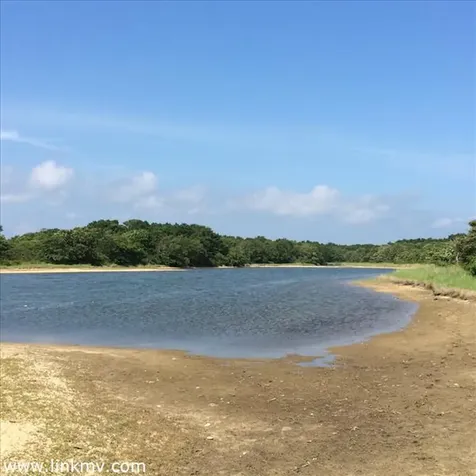 135 Middle Point Road West Tisbury MA 02575