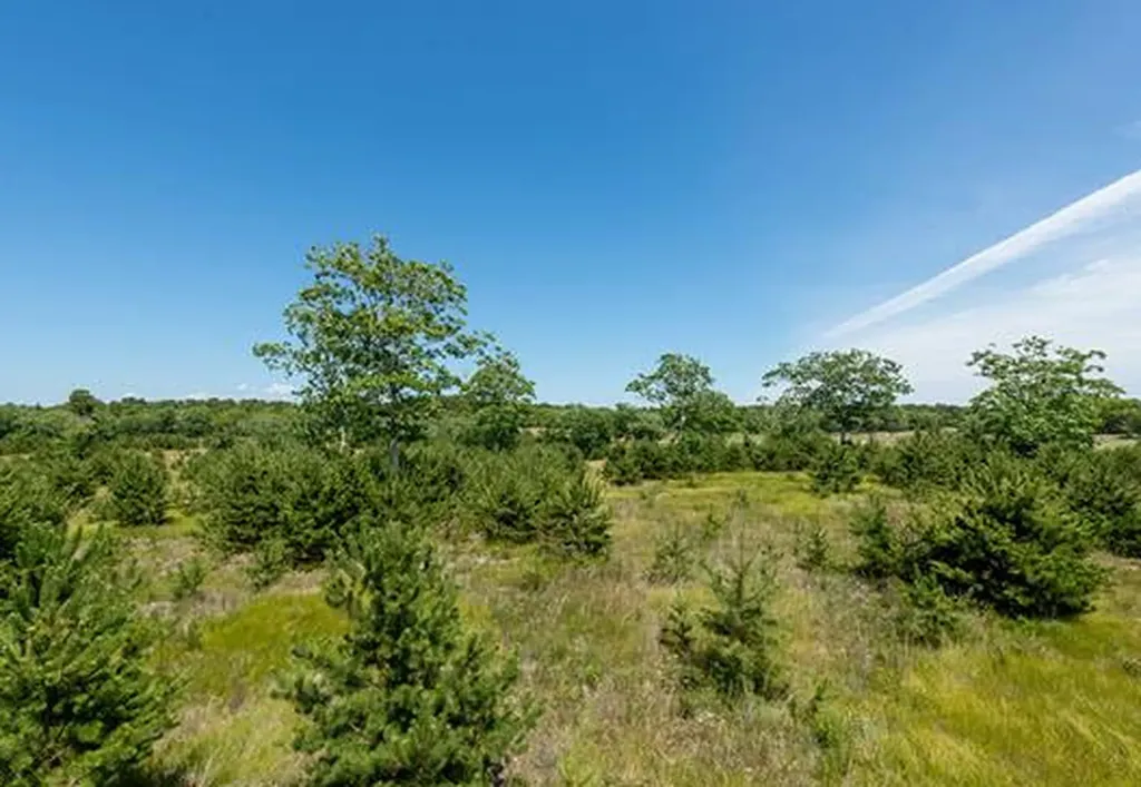 Lot 3 Paddock Road Oak Bluffs MA 02557