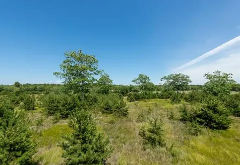 Lot 3 Paddock Road Oak Bluffs MA 02557
