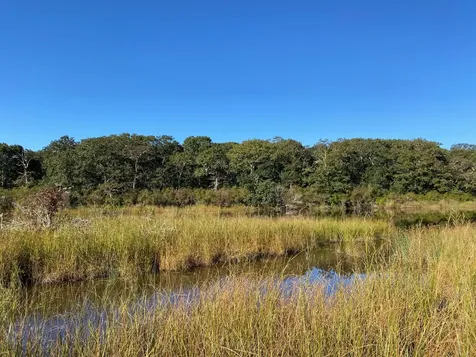 2 Swan Neck Road Edgartown MA 02539