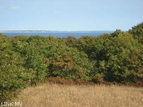 11 Locust Lane Aquinnah MA 02535