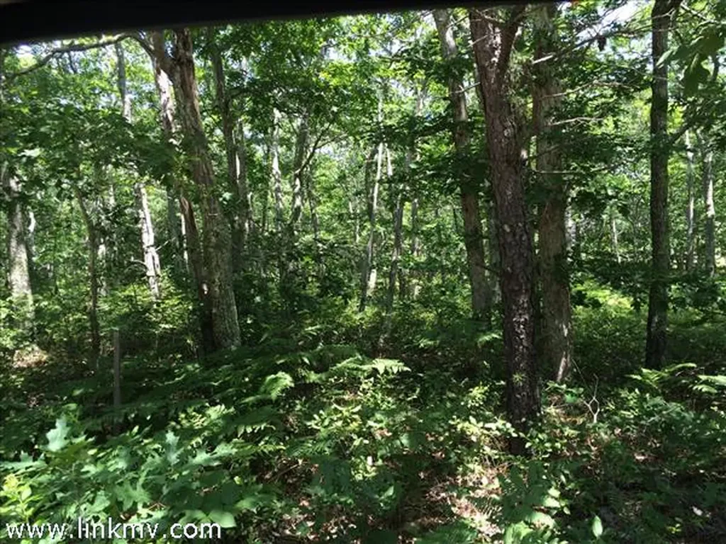6 Southridge Lane Edgartown MA 02539