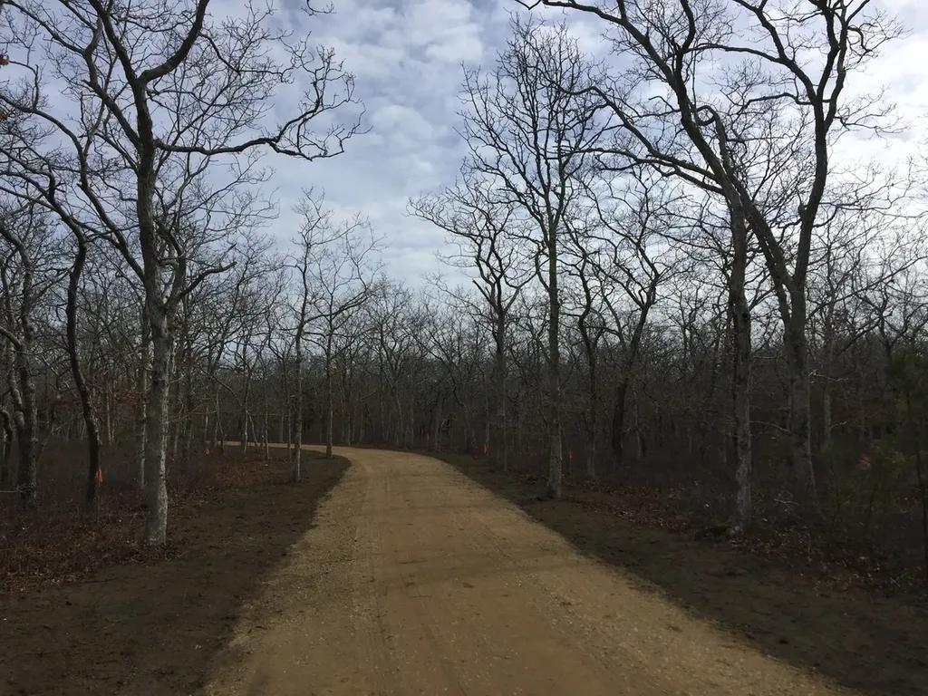 11 Baylies Way Edgartown MA 02539