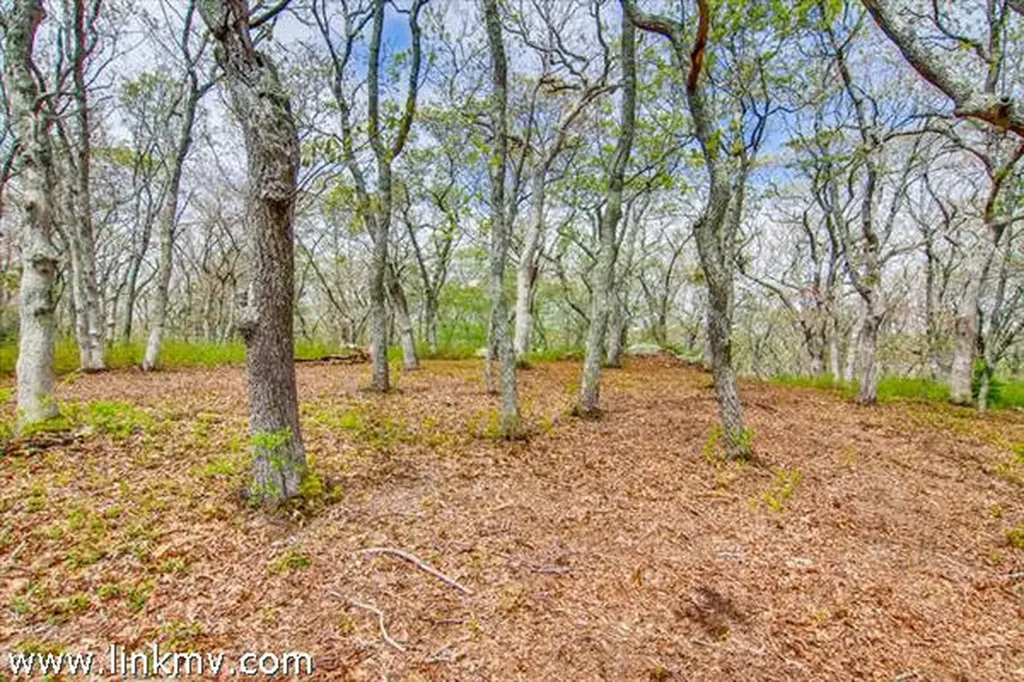 98 Kings Highway Chilmark MA 02535