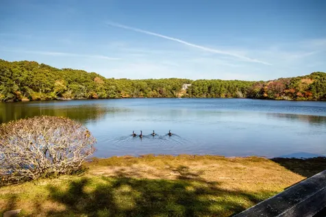 14 Wood Duck Way Oak Bluffs MA 02557