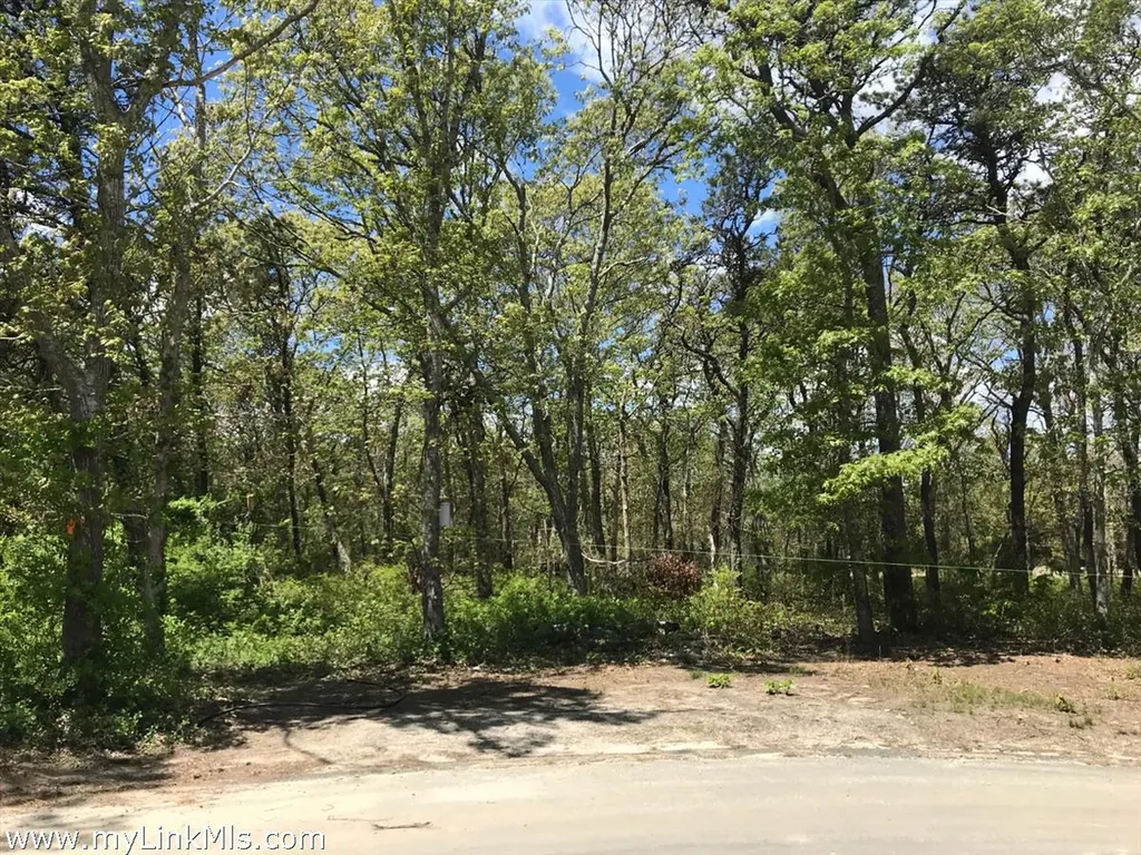 11 Jordan Way Edgartown MA 02539