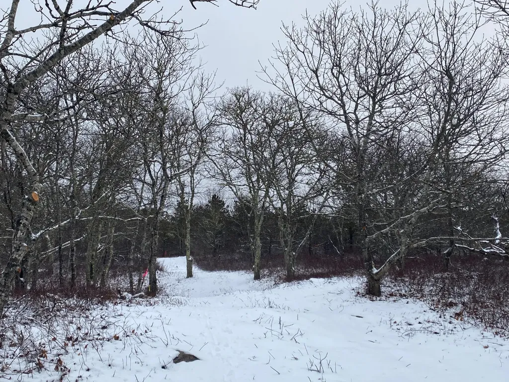 4 Cedar Lane And 32 Stonewall Road Chilmark MA 02535