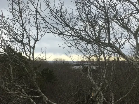 4 Cedar Lane And 32 Stonewall Road Chilmark MA 02535
