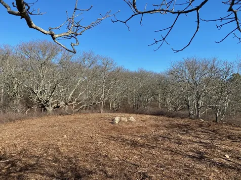 4 Cedar Lane And 32 Stonewall Road Chilmark MA 02535