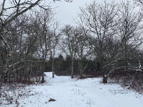 4 Cedar Lane And 32 Stonewall Road Chilmark MA 02535