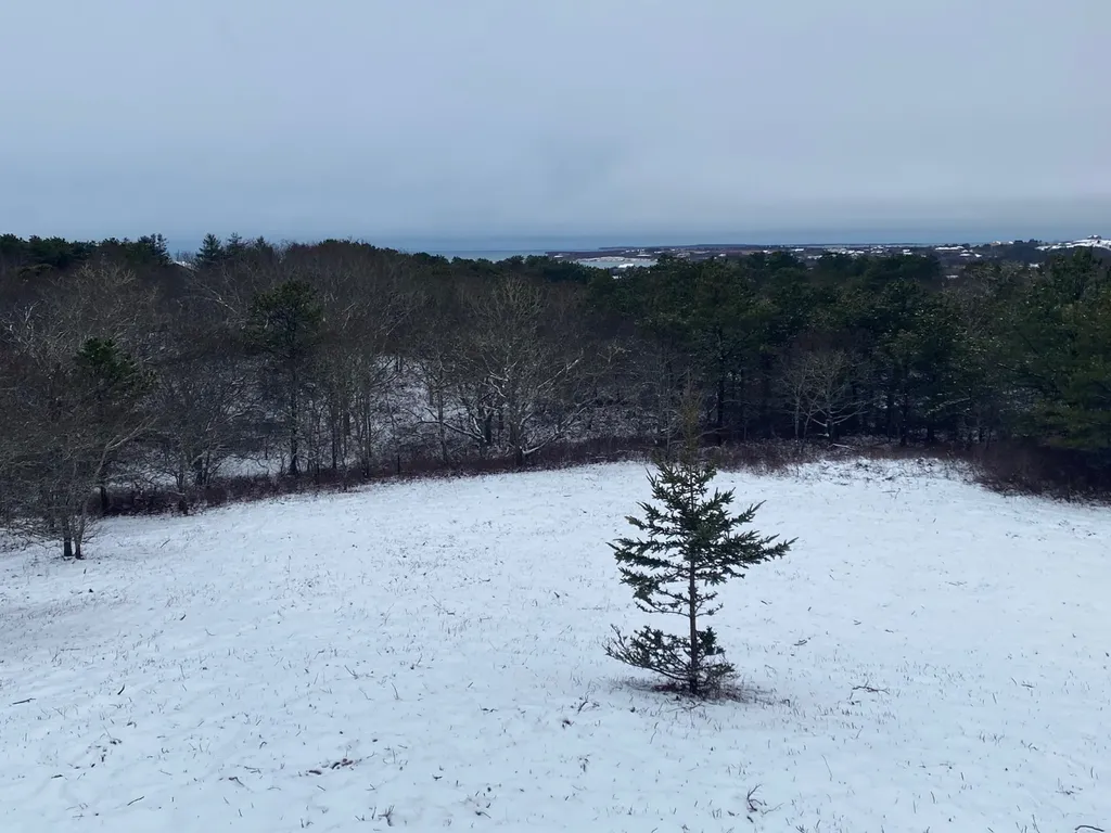 5 9 & 11 Cedar Lane Chilmark MA 02535