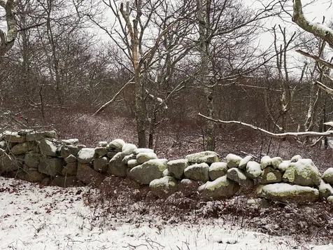 5 9 & 11 Cedar Lane Chilmark MA 02535