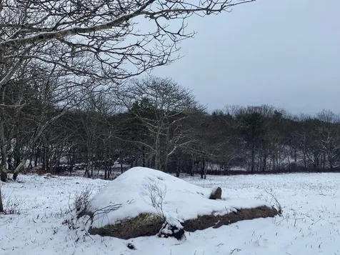 5 9 & 11 Cedar Lane Chilmark MA 02535