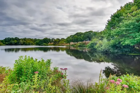 42 Looks Pond Way West Tisbury MA 02575