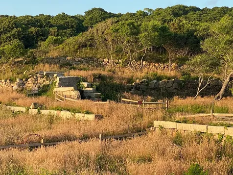 86 Gosnolds Way Chilmark MA 02535