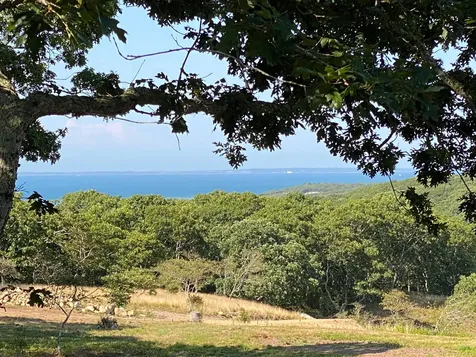 86 Gosnolds Way Chilmark MA 02535