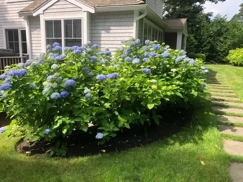 23 Hidden Cove Road Oak Bluffs MA 02557