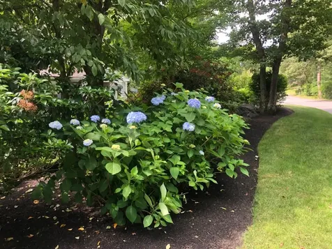 23 Hidden Cove Road Oak Bluffs MA 02557