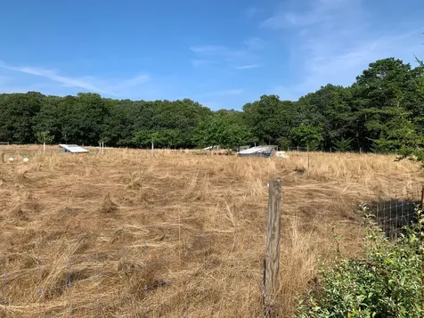 1140 State Road Vineyard Haven MA 02568