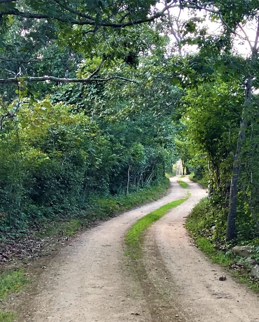 0 East Pasture Road Aquinnah MA 02535