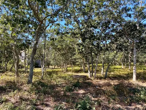 40 Edgewood Drive Edgartown MA 02539