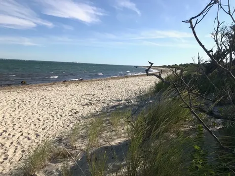 36 Bayberry Lane Vineyard Haven MA 02568