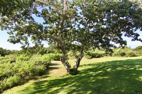 7 Litchfield Road Edgartown MA 02539