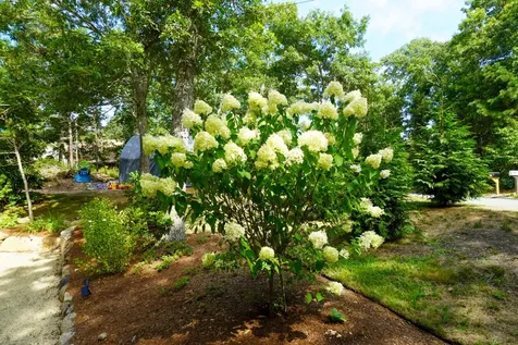 92 Spring Hill Road Vineyard Haven MA 02568