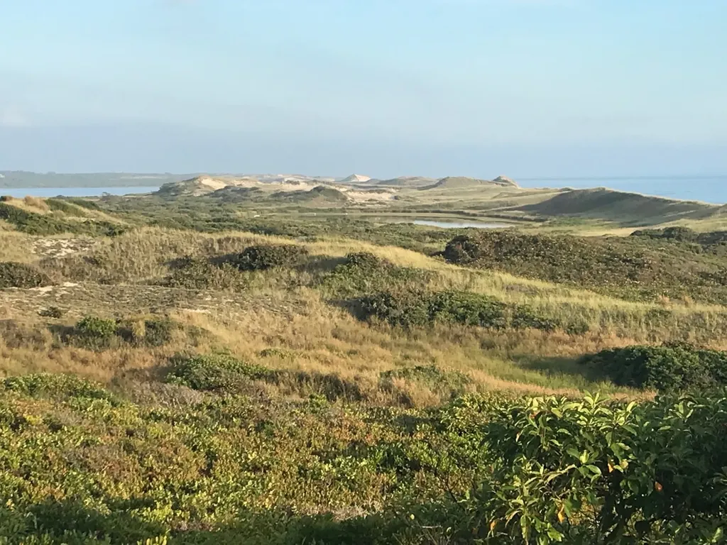4 Moshup Trail Aquinnah MA 02535