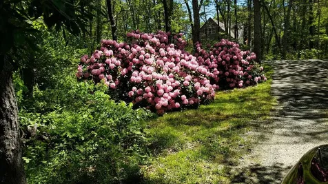 233 Daggett Avenue Vineyard Haven MA 02568