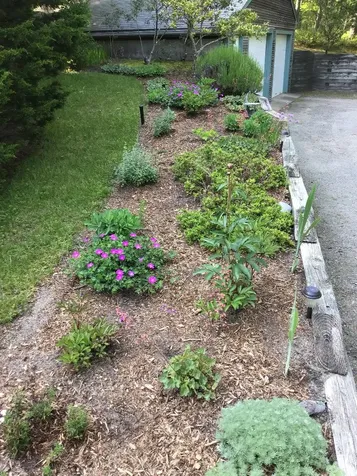 233 Daggett Avenue Vineyard Haven MA 02568