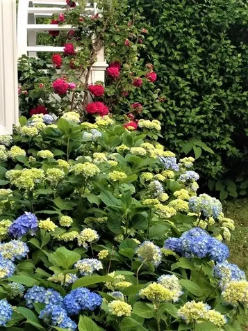 12 Curtis Lane Edgartown MA 02539