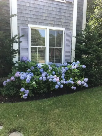 12 Curtis Lane Edgartown MA 02539