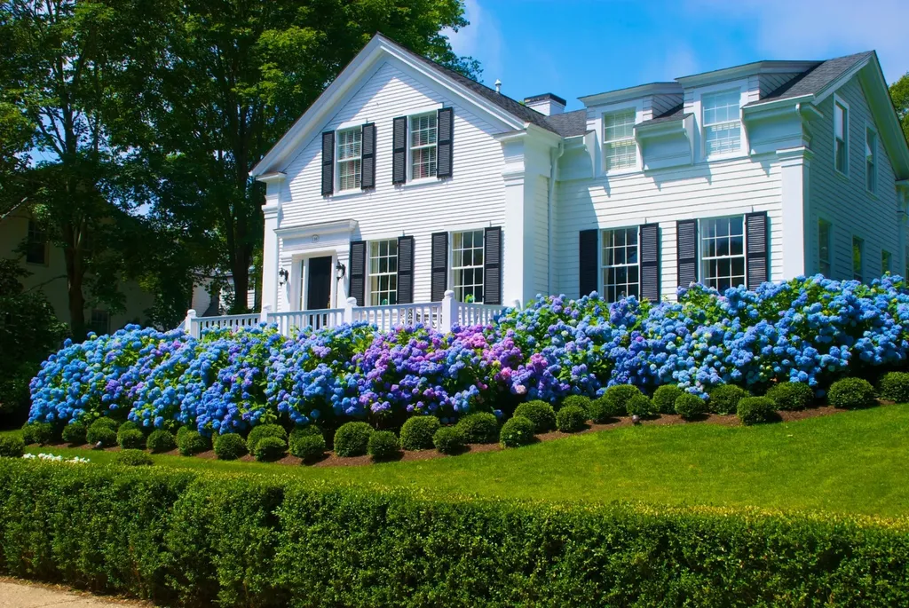 116 William Street Vineyard Haven MA 02568