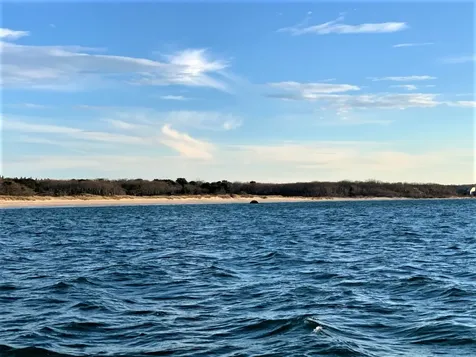 14 Sandpiper Lane Vineyard Haven MA 02568