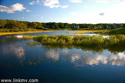 11 Majors Cove Lane Edgartown MA 02539