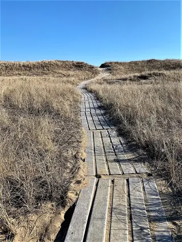 15 Doctors Creek Path Chilmark MA 02535
