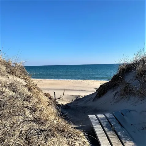 15 Doctors Creek Path Chilmark MA 02535