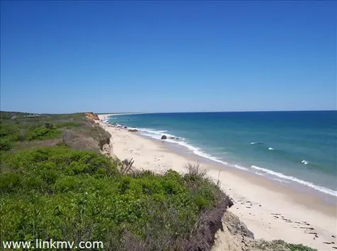 15 Azalea Lane Chilmark MA 02535