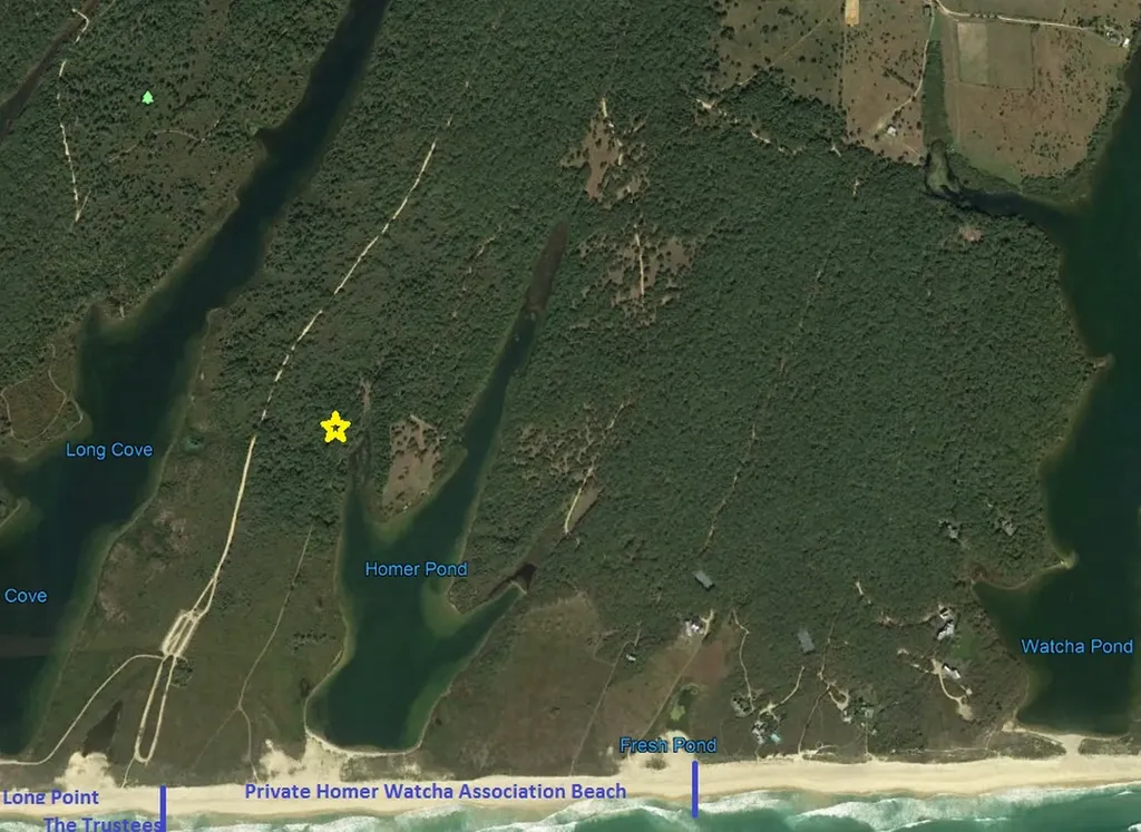 The Pond Lot Homer Watcha Trust West Tisbury MA 02575