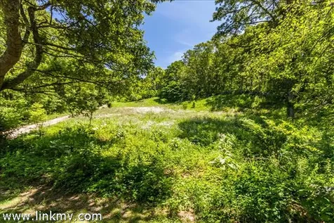 14 Mayhew Norton Road West Tisbury MA 02575