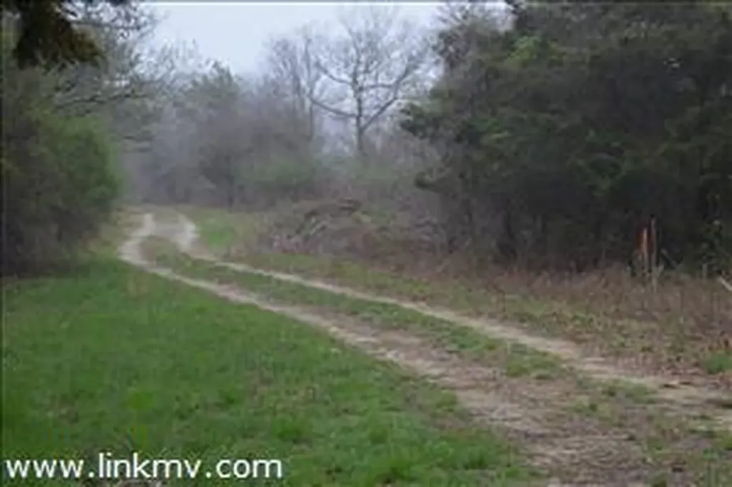 690, Lot 2 Old County Road West Tisbury MA 02535