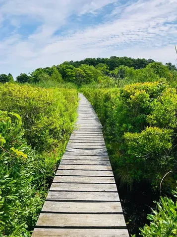 1 Hidden Cove Road Edgartown MA 02539