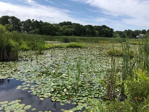1 Hidden Cove Road Edgartown MA 02539