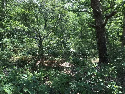 220 Vineyard Meadow Farms Road West Tisbury MA 02575