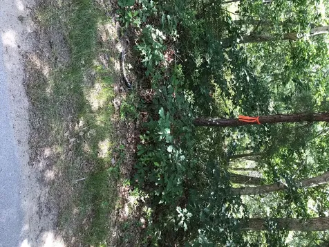 220 Vineyard Meadow Farms Road West Tisbury MA 02575