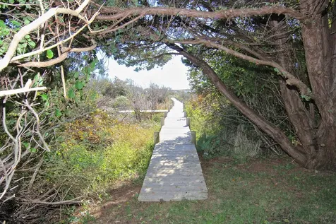 59 & 61 Butlers Cove Road Edgartown MA 02539