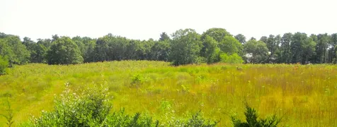 49 Waterview Road Oak Bluffs MA 02557