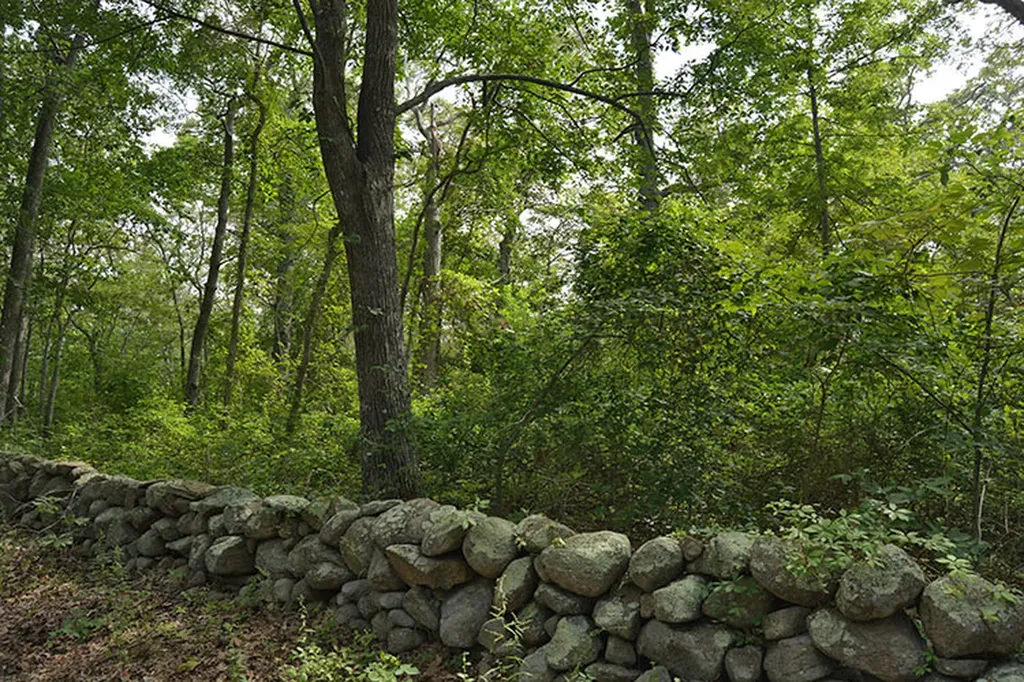 52 Longview Road West Tisbury MA 02575