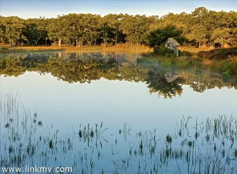 10 & 12 Boldwater Road Edgartown MA 02539